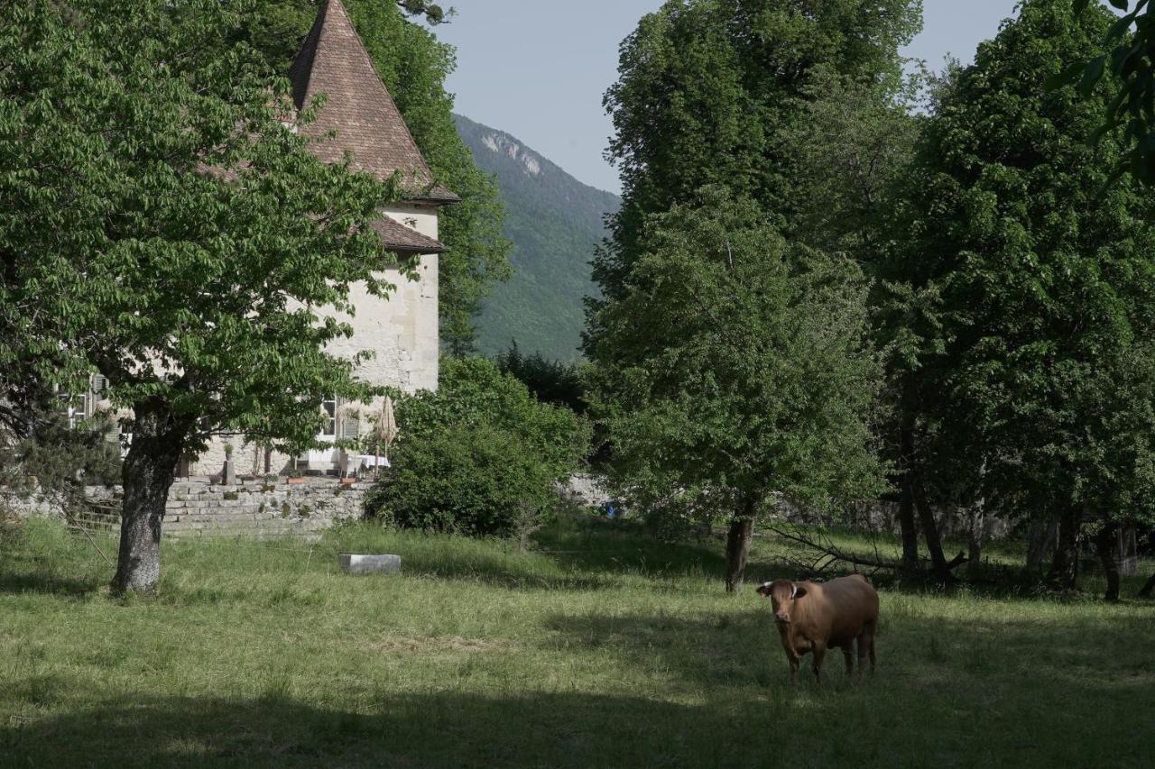 Domaine Du Tres-Haut - Chateau De Montanges Exterior foto