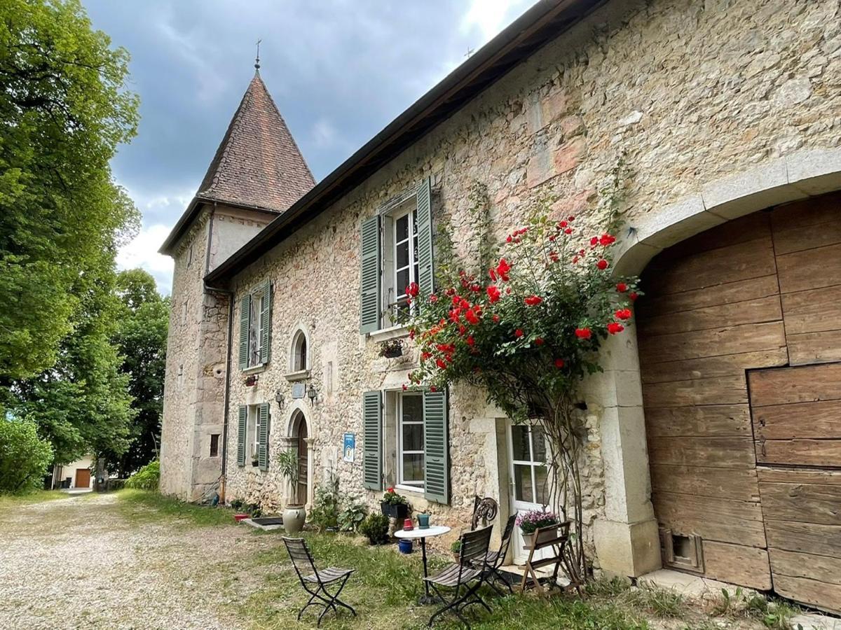 Domaine Du Tres-Haut - Chateau De Montanges Exterior foto