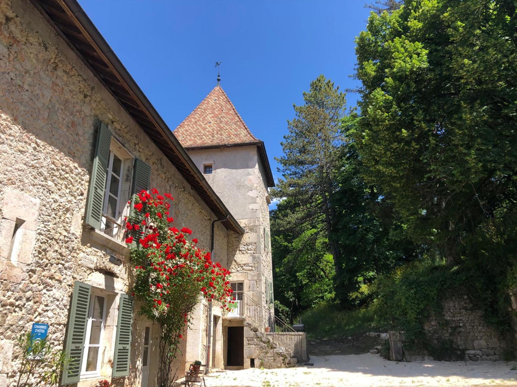Domaine Du Tres-Haut - Chateau De Montanges Exterior foto