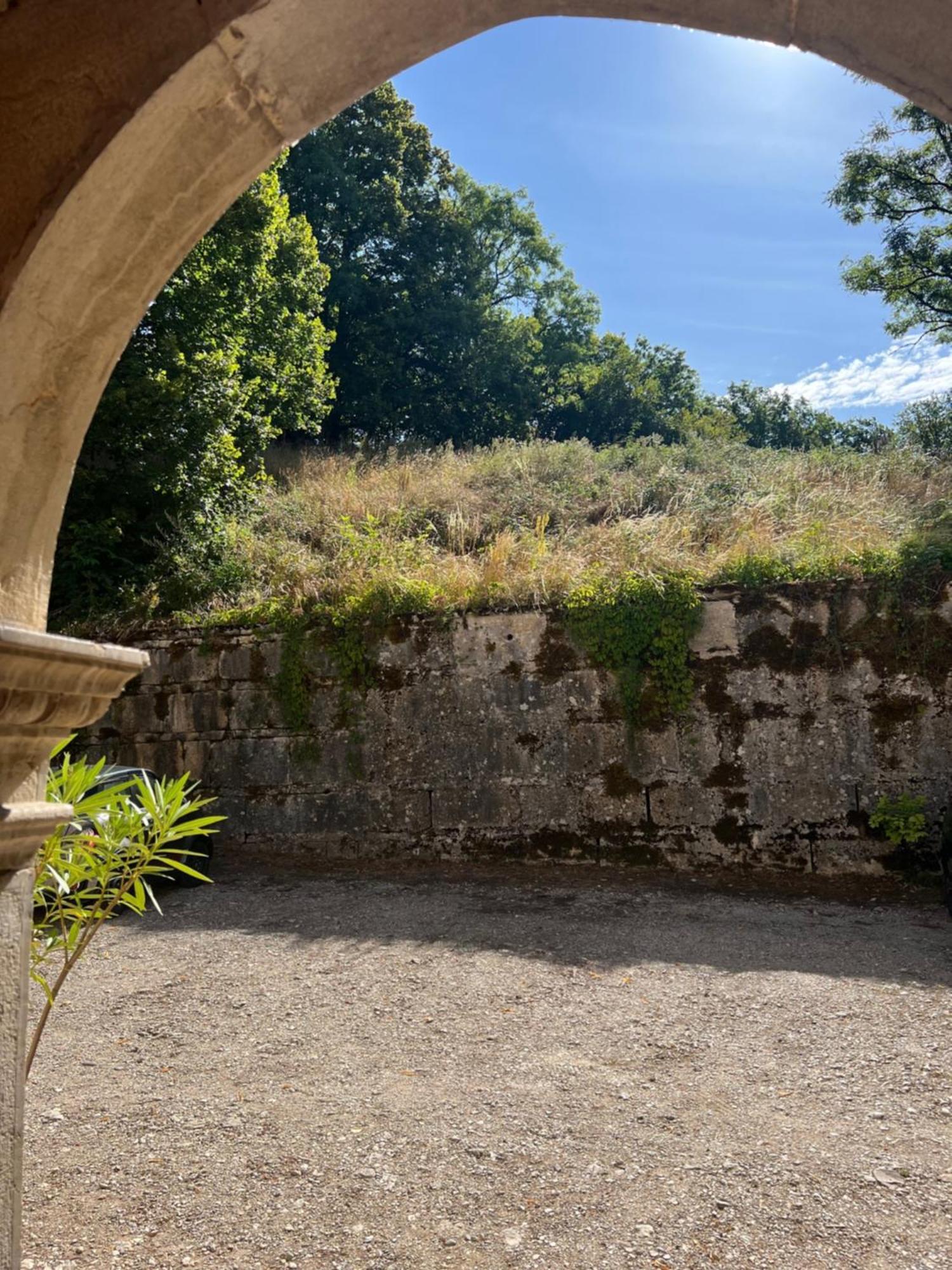 Domaine Du Tres-Haut - Chateau De Montanges Exterior foto